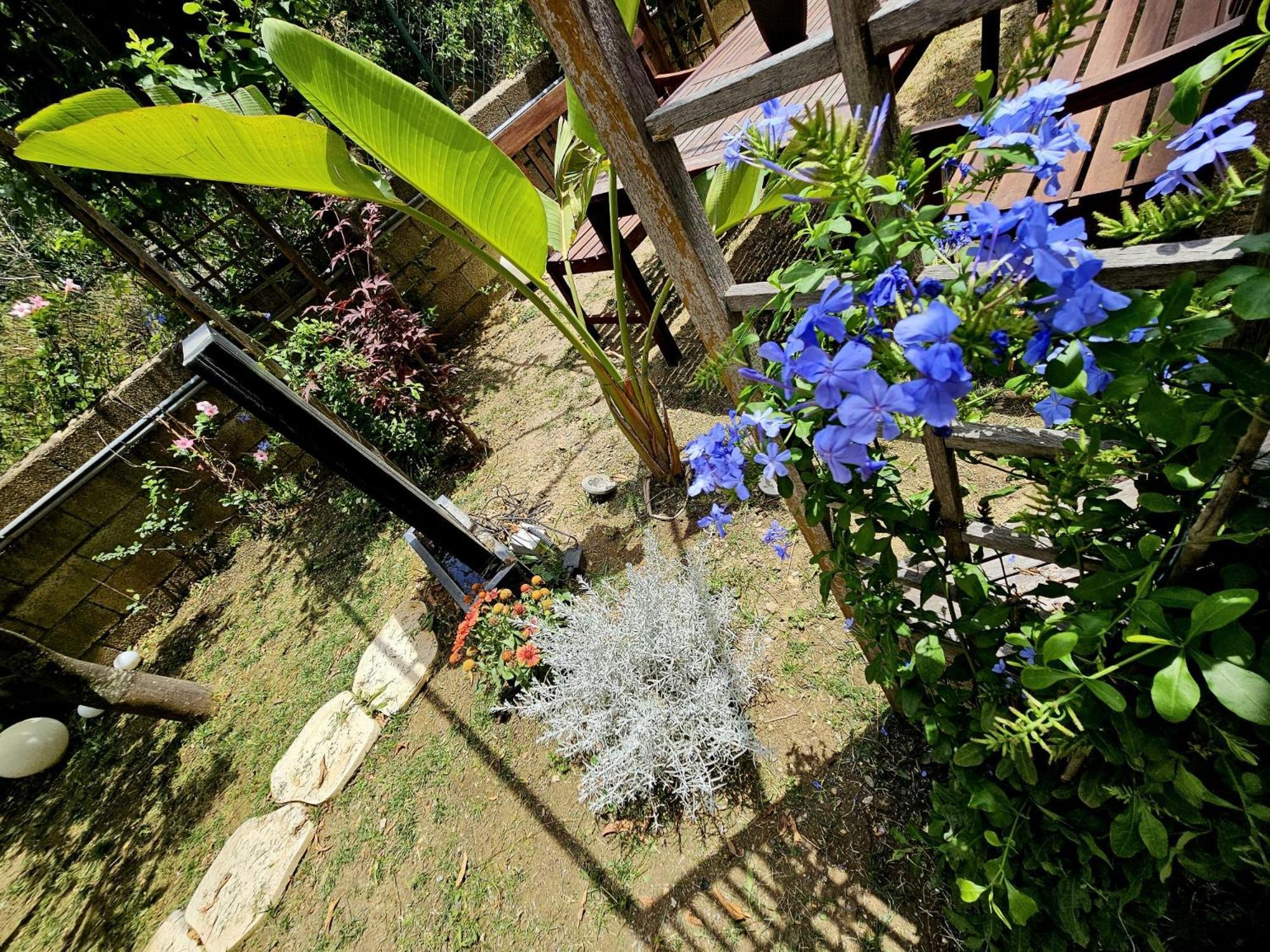 Prestige Guest house Catanzaro